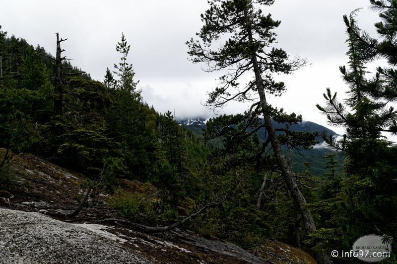 squamish-BC-33.jpg
