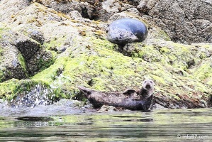 tofino-BC-ours-27