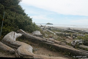 tofino-BC-ours-42