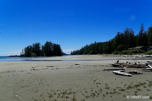 ucluelet-BC-pacific-dream-31