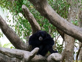 zoo-miami-07