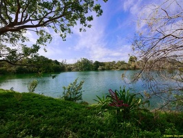 zoo-miami-57