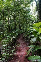 holland-america-croisiere-costa-rica-64