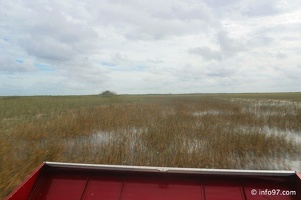 holland-america-everglades-miami-54