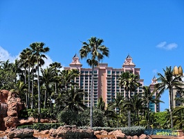 bahamas-atlantis-nassau049