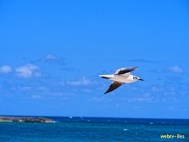 bahamas-atlantis-nassau058