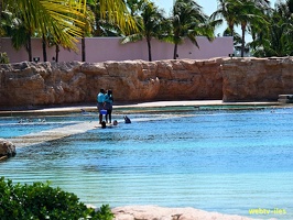 bahamas-atlantis-nassau079