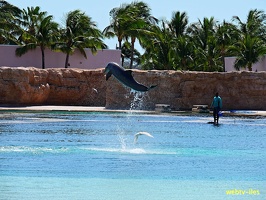 bahamas-atlantis-nassau090