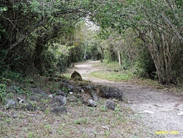 cozumel-mexique165