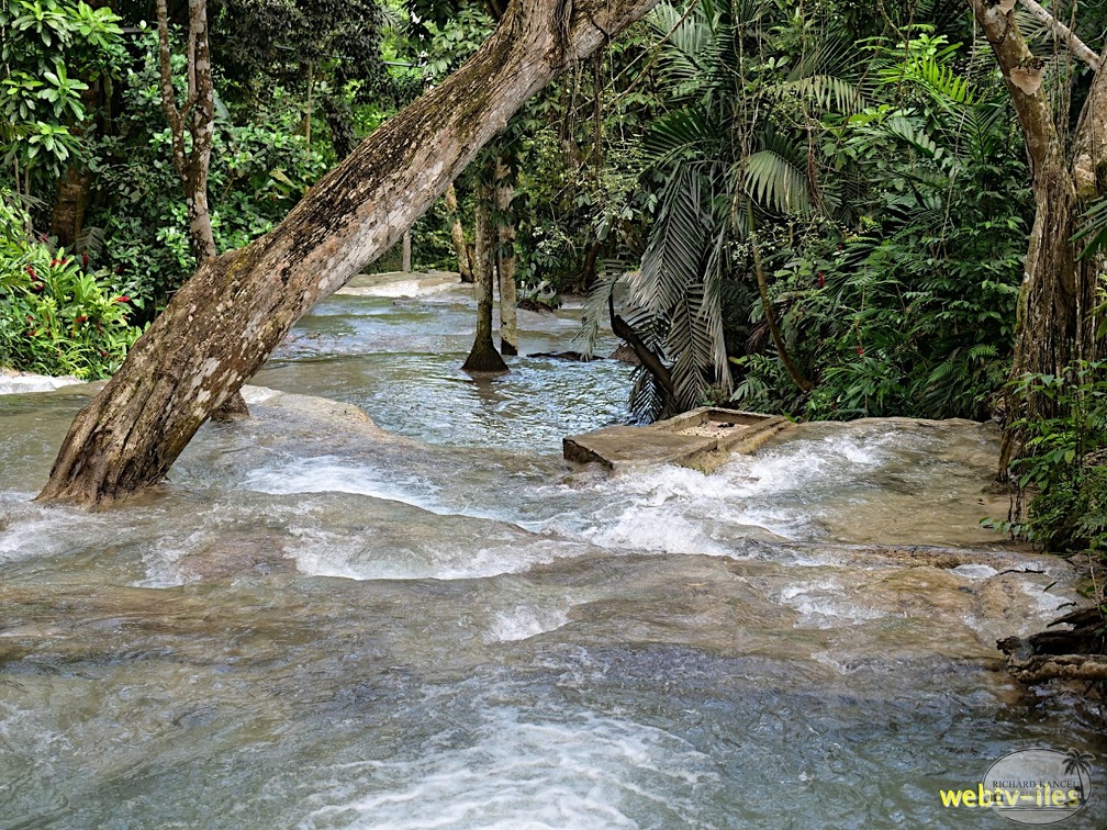 jamaique-falls275.jpg