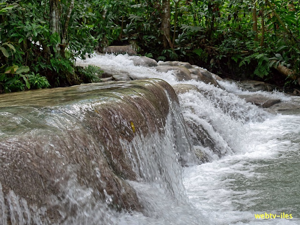 jamaique-falls281.jpg