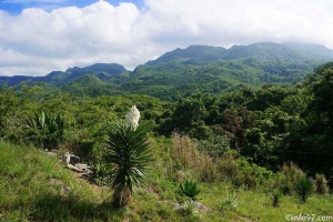 DSC08923topes-de-collantes