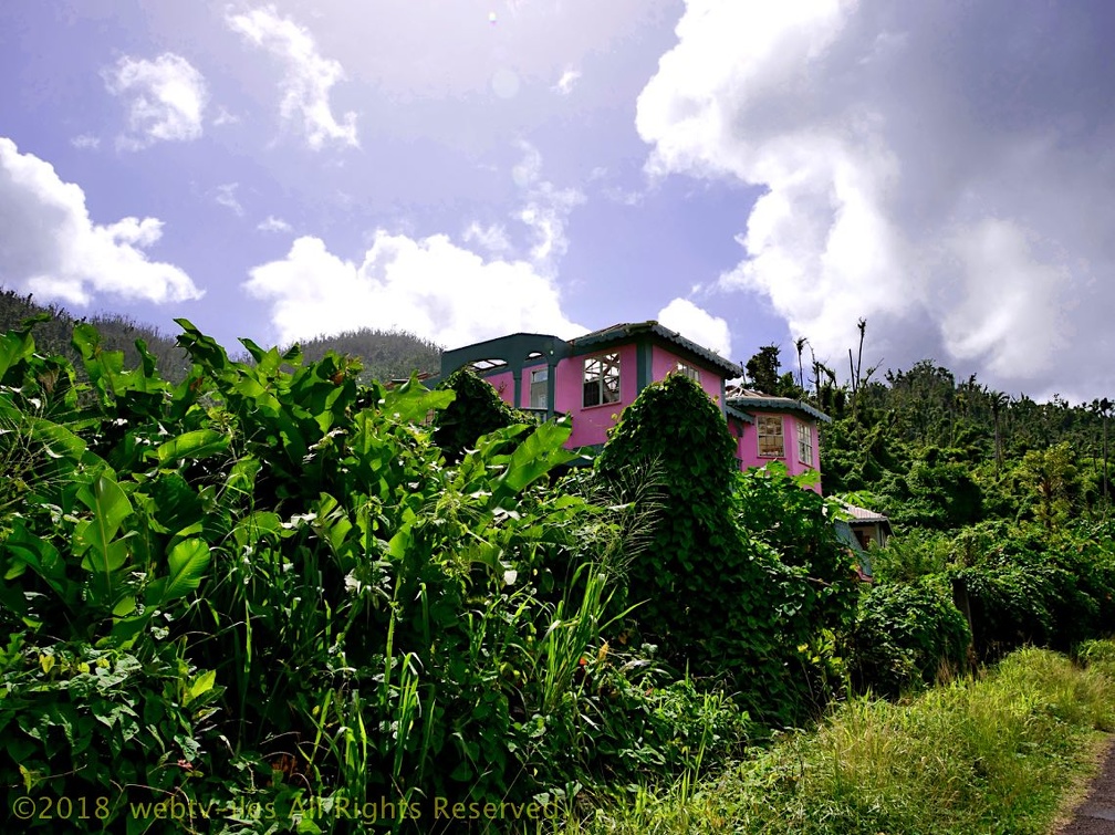 P1034996dominica-j1..jpg