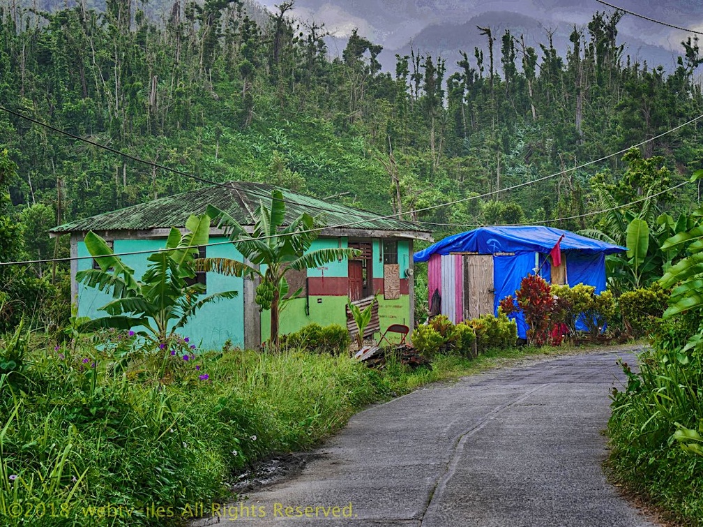 P1035016dominica-j1..jpg