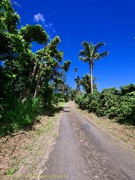 P1035098dominica-j3.