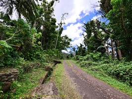 P1035136dominica-j3.