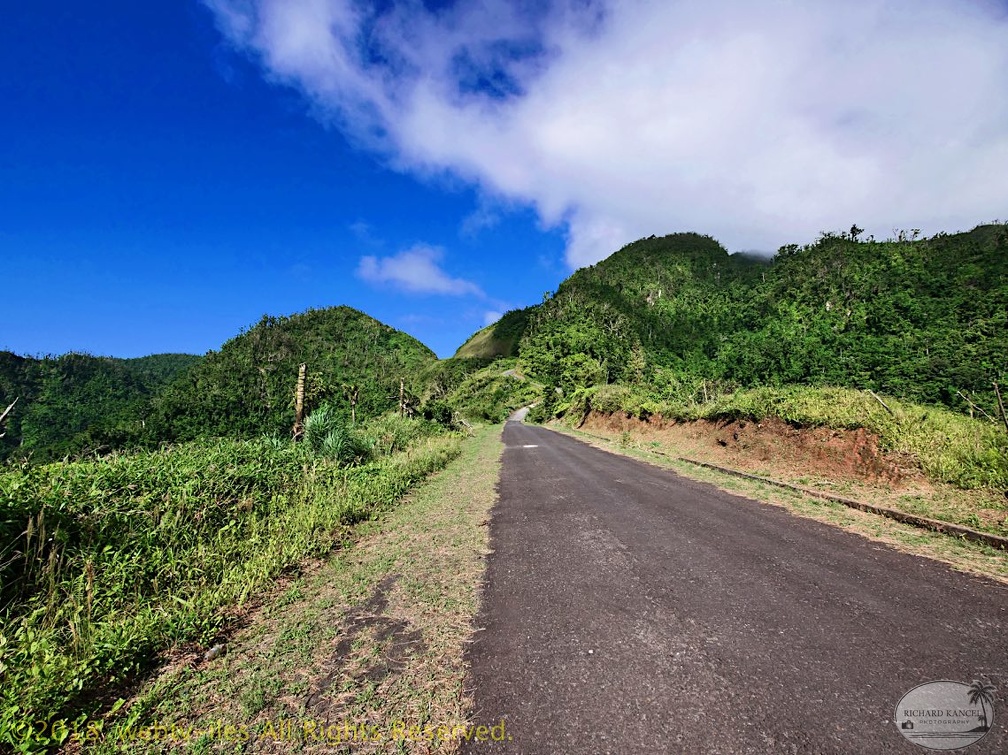 P1035156dominica-j3..jpg