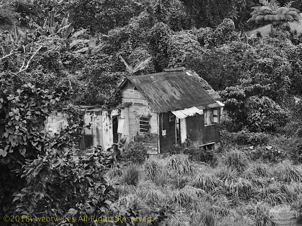 P1035176dominica-j4..jpg