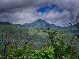 P1035180dominica-j4.