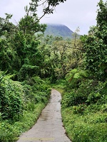 P1035214dominica-j4.