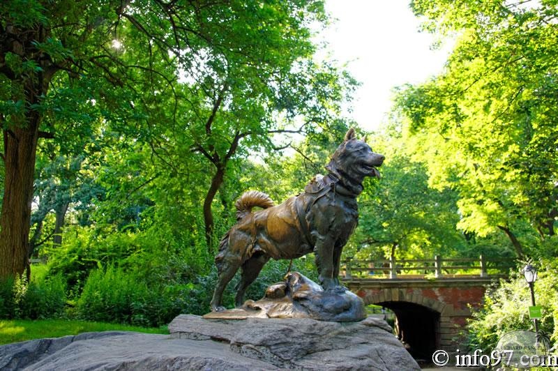 DSC04585-central-Park.jpg