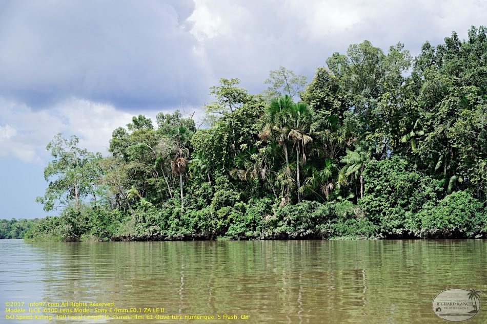 guyane06-st-laurent-fleuve.jpg