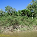 guyane19-st-laurent-fleuve.jpg
