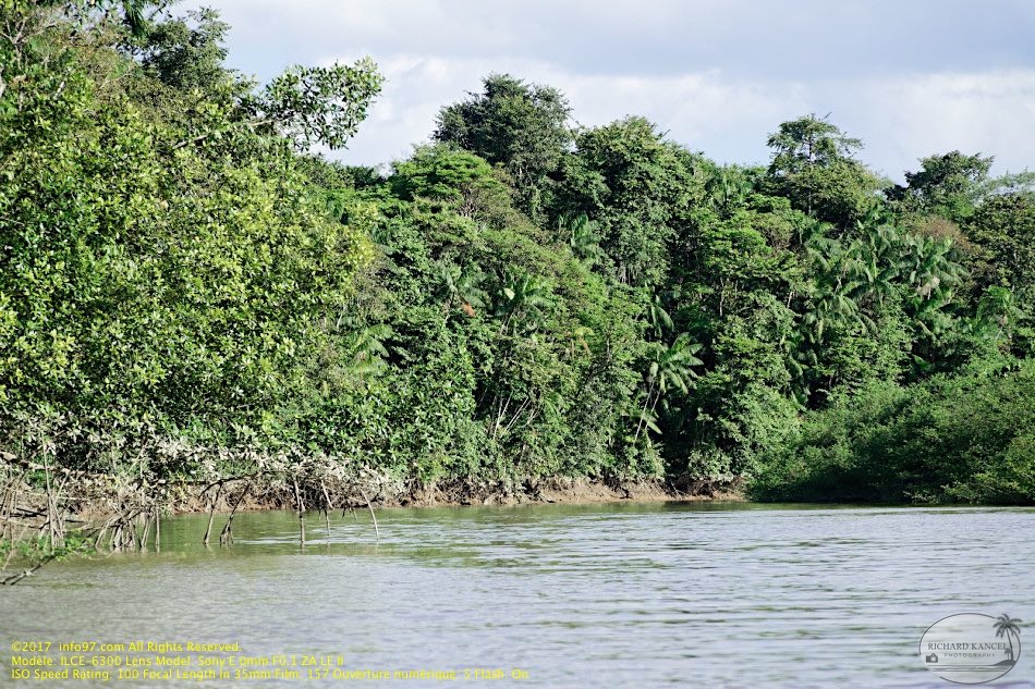 guyane20-st-laurent-fleuve.jpg