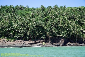 guyane010-iles-du-salut