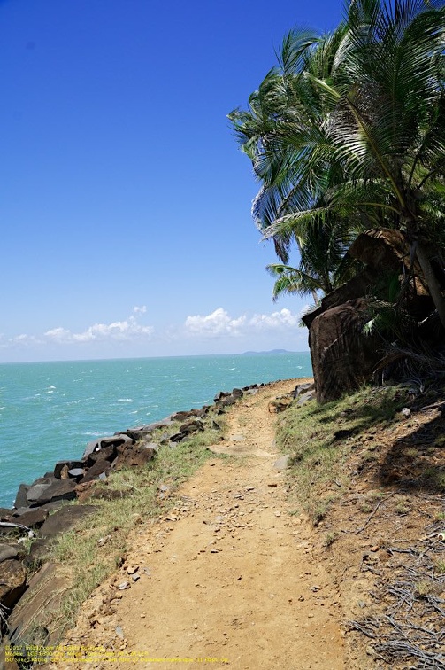 guyane046-iles-du-salut.jpg