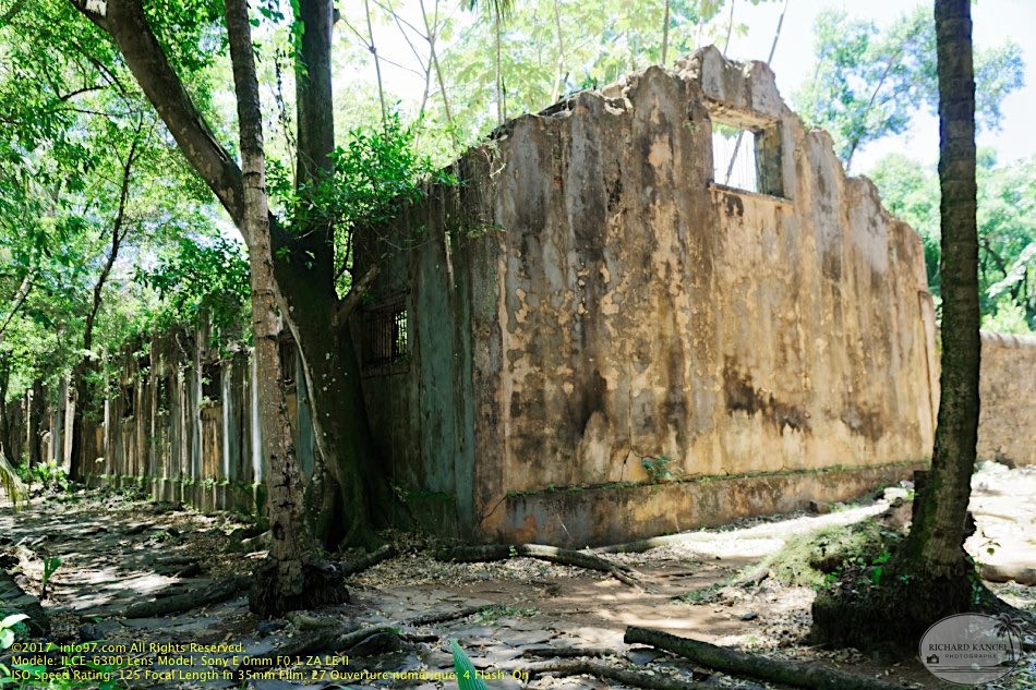 guyane065-iles-du-salut.jpg