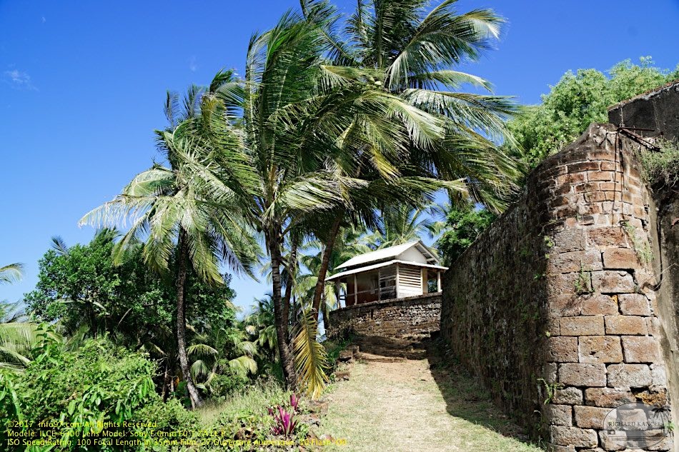 guyane081-iles-du-salut.jpg