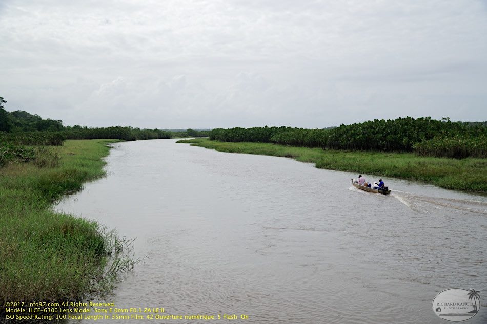 guyane006-marais-kaw.jpg