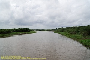 guyane014-marais-kaw