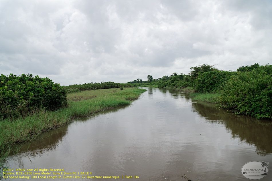 guyane018-marais-kaw.jpg