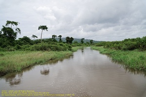 guyane021-marais-kaw