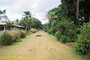 guyane028-marais-kaw