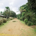 guyane028-marais-kaw.jpg