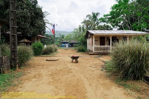 guyane032-marais-kaw