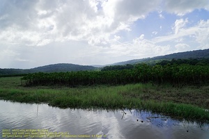 guyane043-marais-kaw