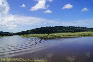 guyane049-marais-kaw