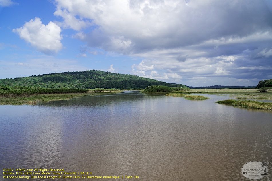 guyane050-marais-kaw.jpg