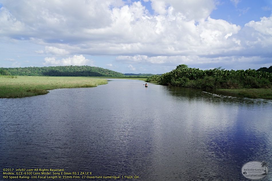 guyane061-marais-kaw.jpg