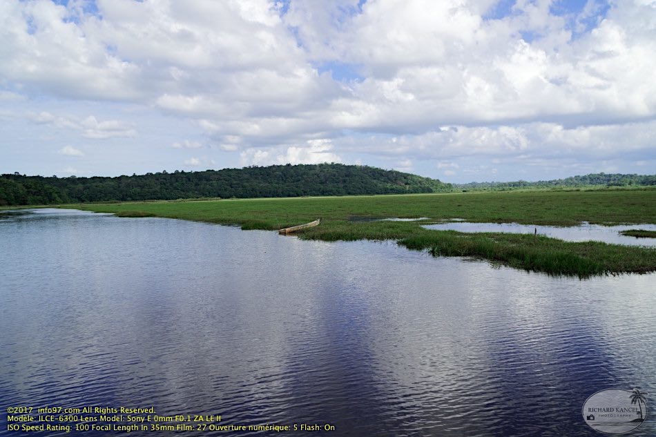 guyane062-marais-kaw.jpg