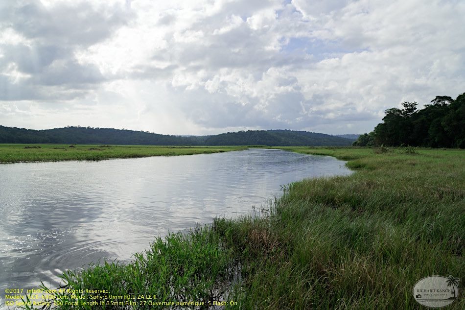 guyane065-marais-kaw.jpg