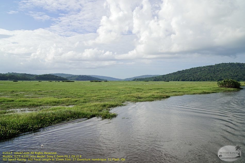 guyane068-marais-kaw.jpg