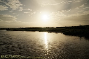 guyane070-marais-kaw