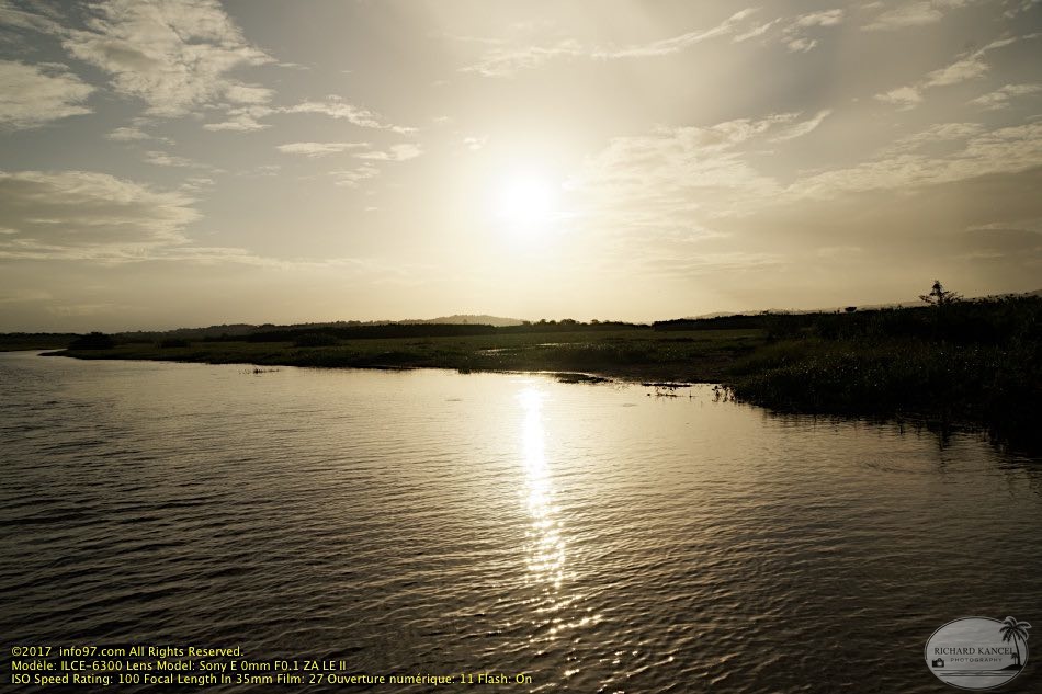 guyane070-marais-kaw.jpg