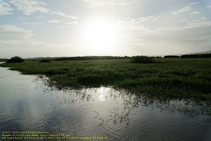 guyane071-marais-kaw