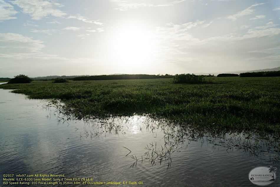 guyane071-marais-kaw.jpg